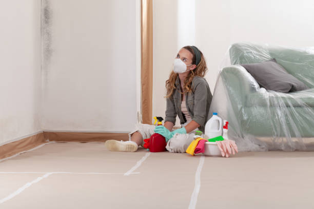 Reliable Bathroom Mold Removal contractor in Safety Harbor, FL by Mold Remediation HQ